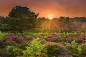 c29efcfc270ad7d4d433b8a0a2c38b37