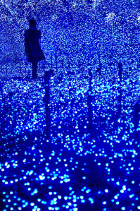 Maya Angelou quote on identity