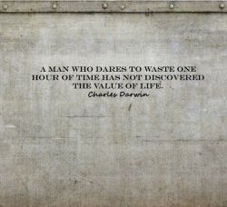 068faf4dd6a4107d05d8e751d80e7493