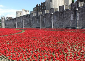 Blood-Swept-Lands-and-Seas-of-Red-poppies-installation-at-the-Tower-of-London_dezeen_784_0