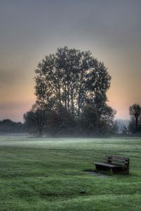 f0ca5bd99734f5cfd4af344f339d36f2