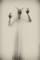 26460732e907b5f24a525903cbd1d8be