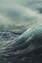 74f1768ddbbaf592663e0458dab1fd5c