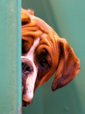 4e806789f8ba65ba6b2e0d0930b1dbc2